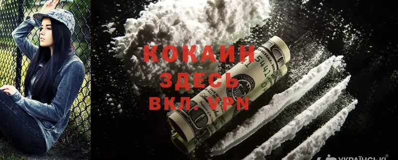 COCAIN Fish Scale  площадка как зайти  Кунгур 