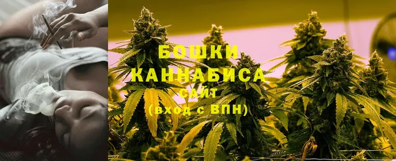 наркотики  Кунгур  Бошки Шишки Amnesia 